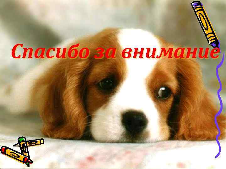 Спасибо за внимание 