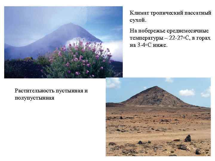 Климат тропический пассатный сухой. На побережье среднемесячные температуры – 22 -27◦С, в горах на