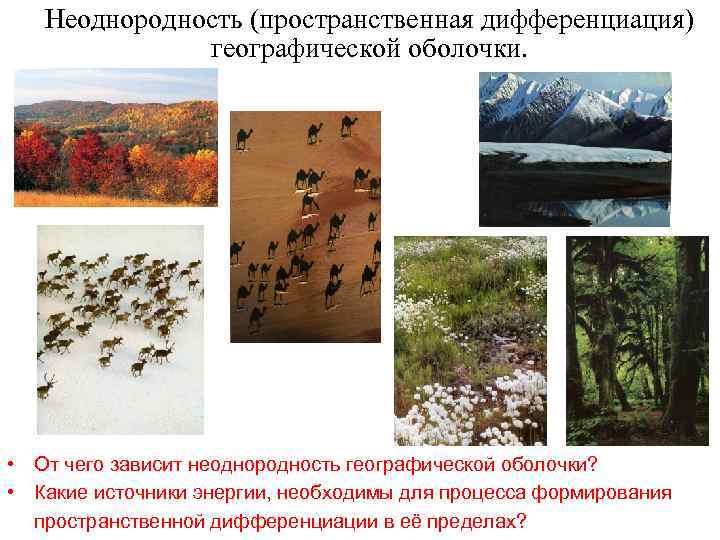 Неоднородность (пространственная дифференциация) географической оболочки. • От чего зависит неоднородность географической оболочки? • Какие