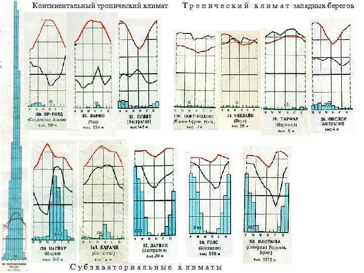 Континентальный тропический климат Т р о п и ч е с к и й