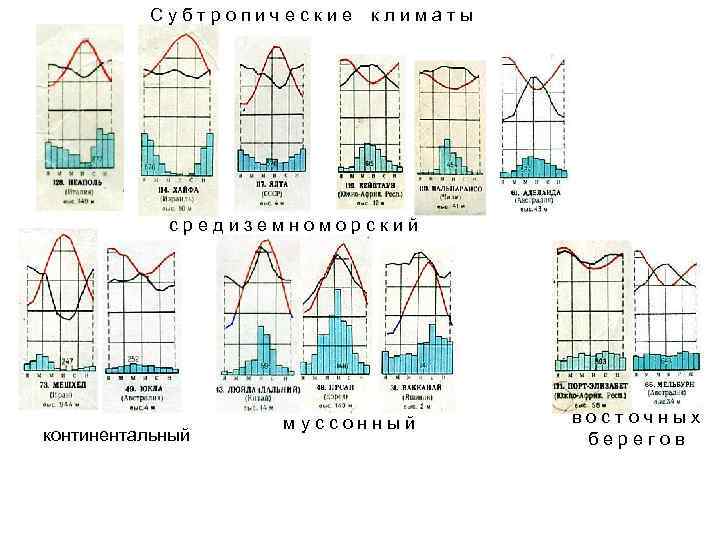 Субтропические климаты средиземноморский континентальный муссонный восточных берегов 