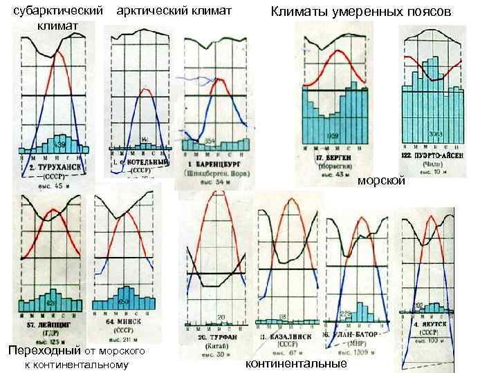 субарктический климат Климаты умеренных поясов морской Переходный от морского к континентальному континентальные 