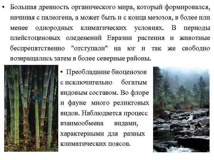  • Большая древность органического мира, который формировался, начиная с палеогена, а может быть