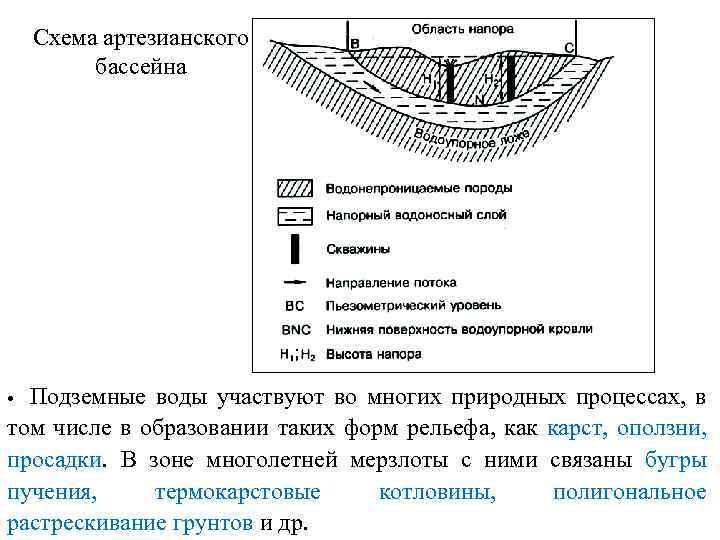 Схема артезианского бассейна Подземные воды участвуют во многих природных процессах, в том числе в