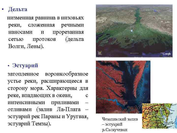  • Дельта низменная равнина в низовьях реки, сложенная речными наносами и прорезанная сетью