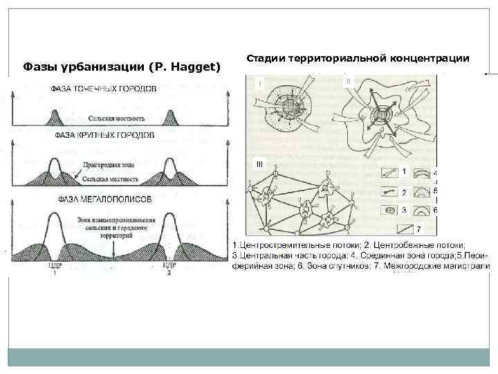 Фазы урбанизации (P. Hagget) Стадии территориальной концентрации 