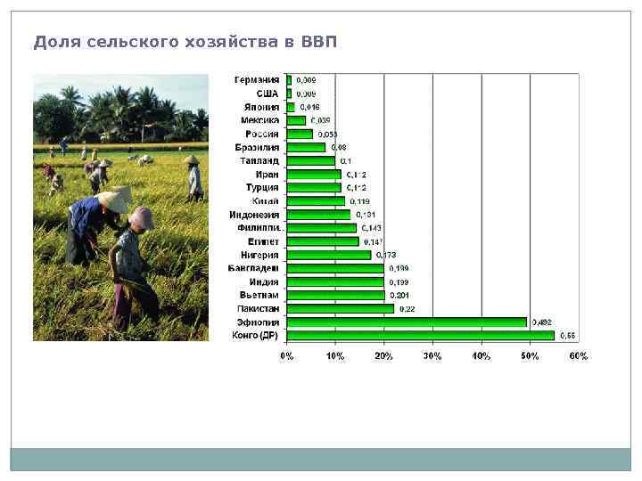 На долю сельского приходится населения