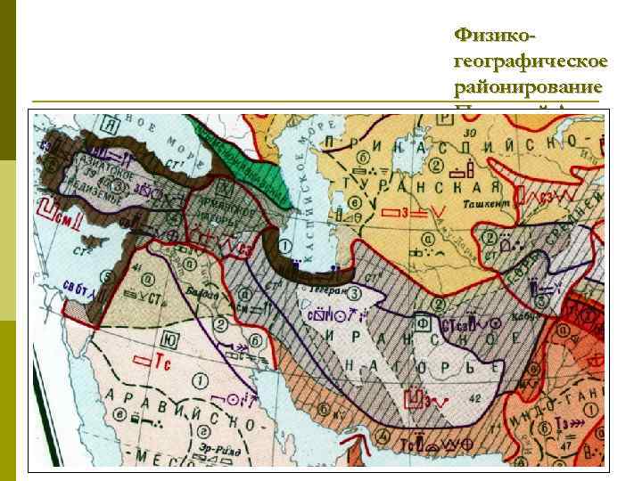 Физикогеографическое районирование Передней Азии 