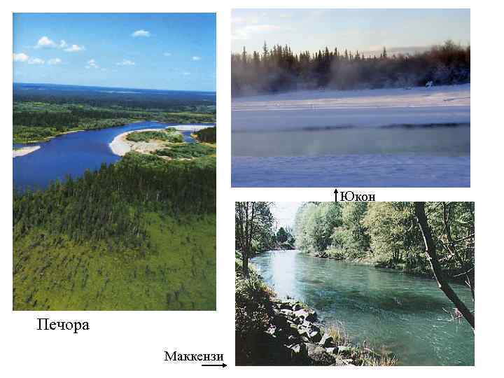 Юкон Печора Маккензи 