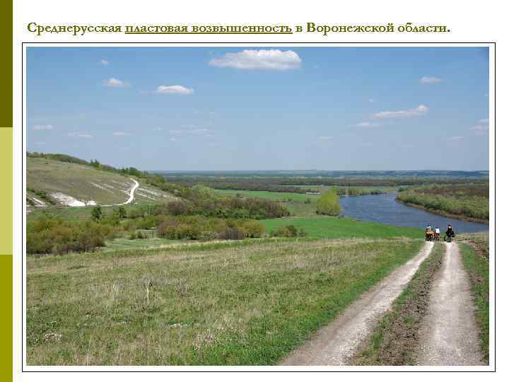 Среднерусская пластовая возвышенность в Воронежской области. 