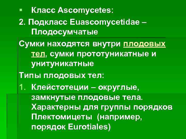 § Класс Ascomycetes: 2. Подкласс Euascomycetidae – Плодосумчатые Сумки находятся внутри плодовых тел, сумки