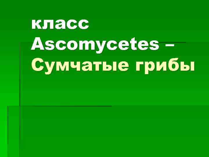 класс Ascomycetes – Сумчатые грибы 