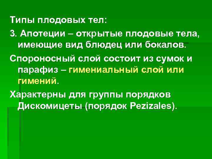 Типы плодовых тел: 3. Апотеции – открытые плодовые тела, имеющие вид блюдец или бокалов.