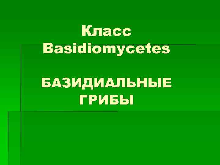 Класс Basidiomycetes БАЗИДИАЛЬНЫЕ ГРИБЫ 