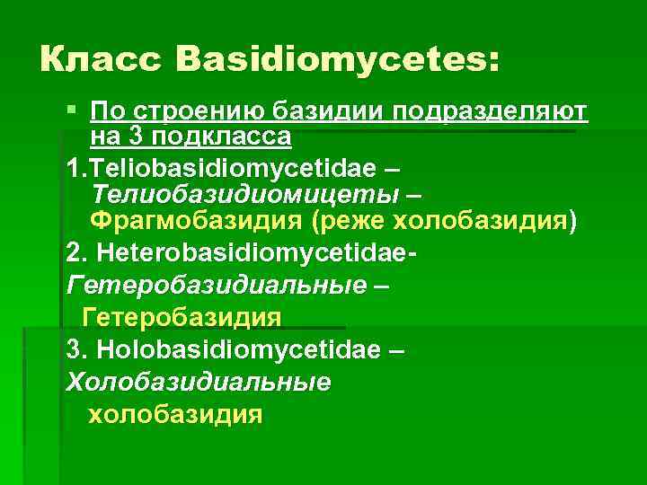 Класс Basidiomycetes: § По строению базидии подразделяют на 3 подкласса 1. Teliobasidiomycetidae – Телиобазидиомицеты