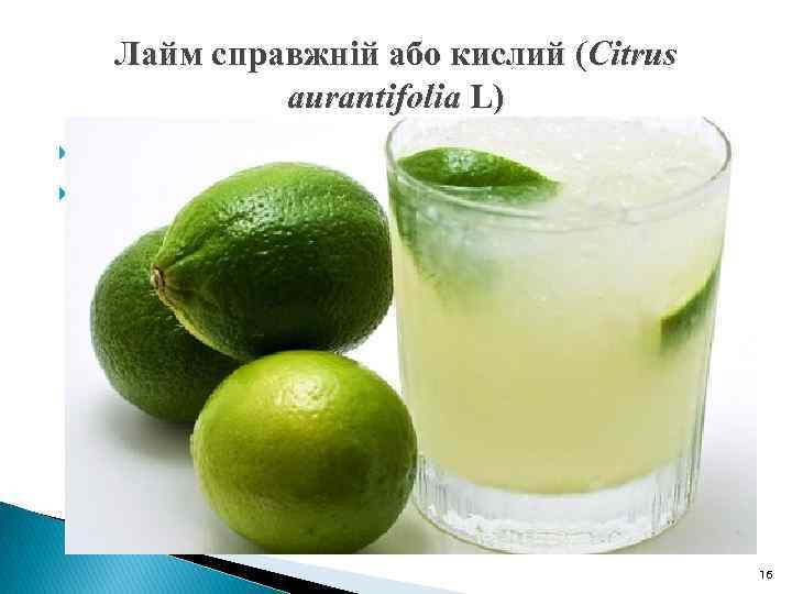 Лайм справжній або кислий (Citrus aurantifolia L) Ареал: Південно-Східна Азія. Це гібрид цитрусових. Плід