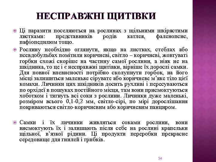 НЕСПРАВЖНІ ЩИТІВКИ Ці паразити поселяються на рослинах з щільними шкірястими листками: представників родів катлея,