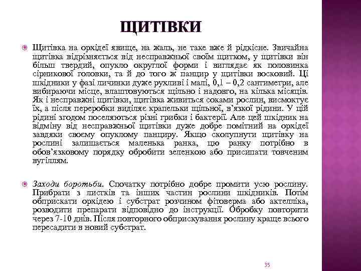 ЩИТІВКИ Щитівка на орхідеї явище, на жаль, не таке вже й рідкісне. Звичайна щитівка