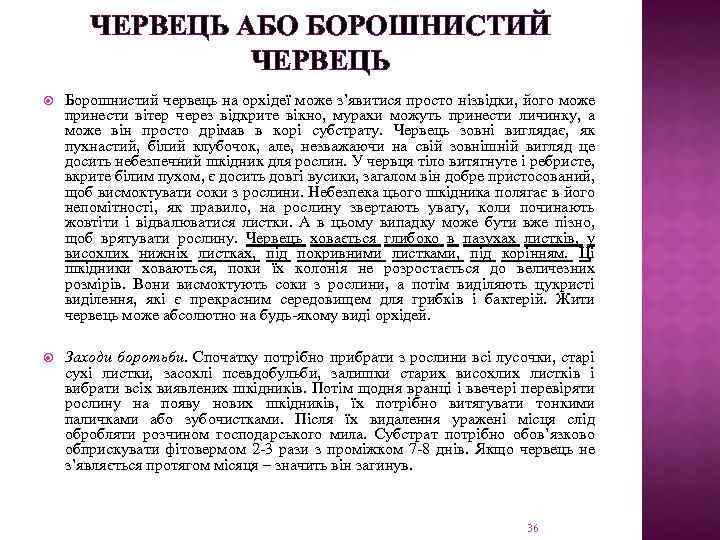 ЧЕРВЕЦЬ АБО БОРОШНИСТИЙ ЧЕРВЕЦЬ Борошнистий червець на орхідеї може з’явитися просто нізвідки, його може