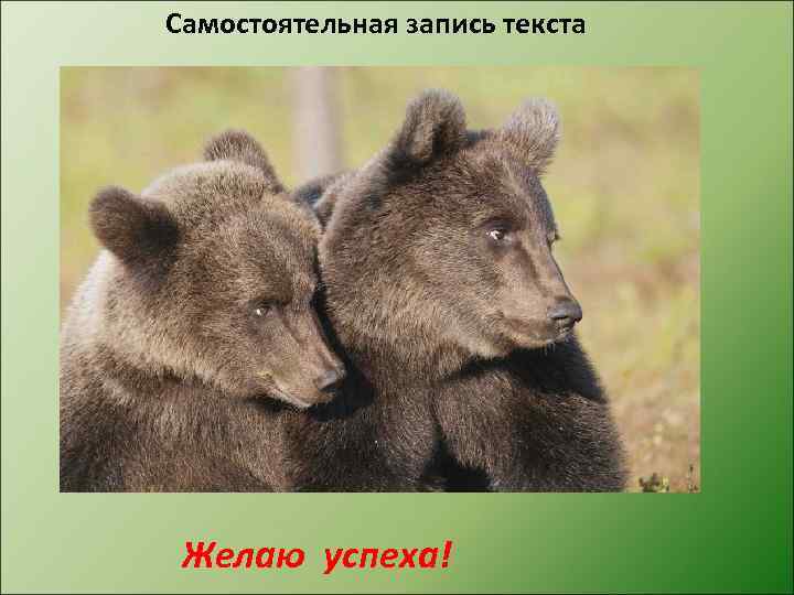 Самостоятельная запись текста Желаю успеха! 