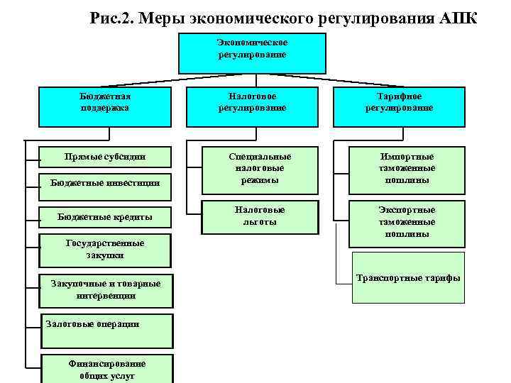 Рис. 2. Меры экономического регулирования АПК Экономическое регулирование Бюджетная поддержка Прямые субсидии Бюджетные инвестиции