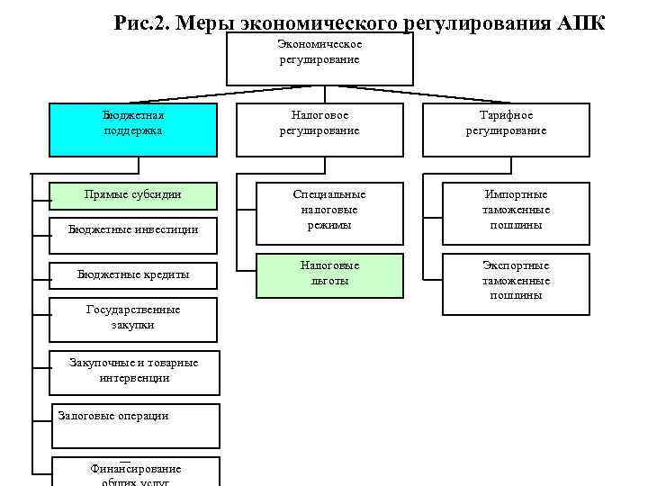 Рис. 2. Меры экономического регулирования АПК Экономическое регулирование Бюджетная поддержка Прямые субсидии Бюджетные инвестиции