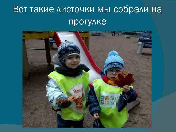 Вот такие листочки мы собрали на прогулке 