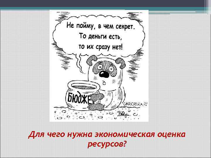 Для чего нужна экономическая оценка ресурсов? 