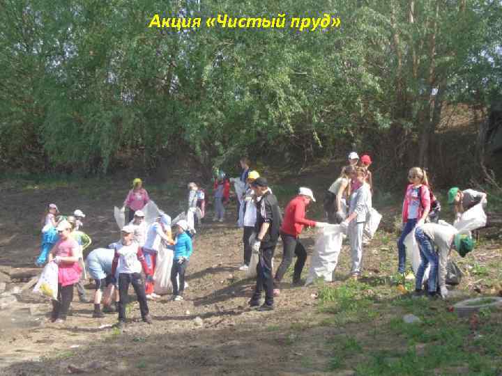 Акция «Чистый пруд» 