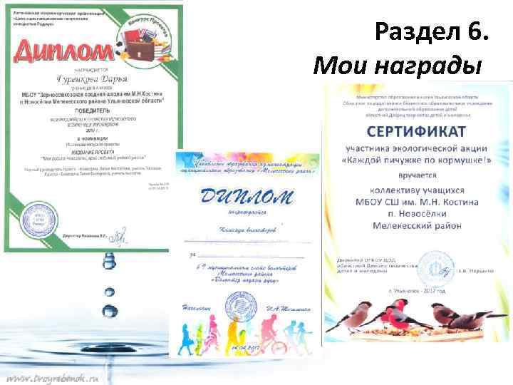 Раздел 6. Мои награды 
