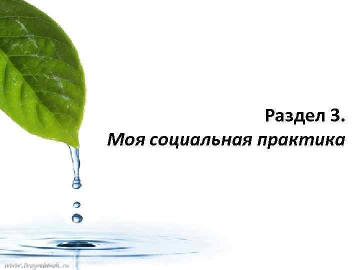 Раздел 3. Моя социальная практика 