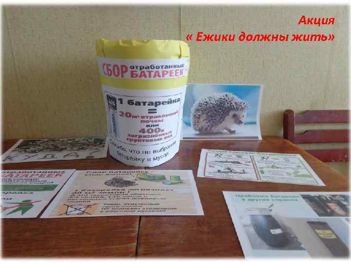 Акция « Ежики должны жить» 