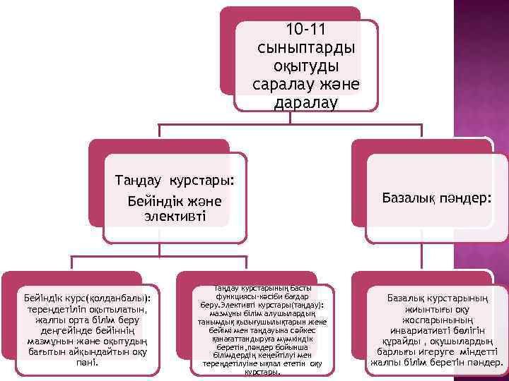 10 -11 сыныптарды оқытуды саралау және даралау Таңдау курстары: Бейіндік және элективті Бейіндік курс(қолданбалы):