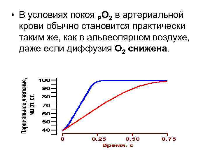  • В условиях покоя РО 2 в артериальной крови обычно становится практически таким