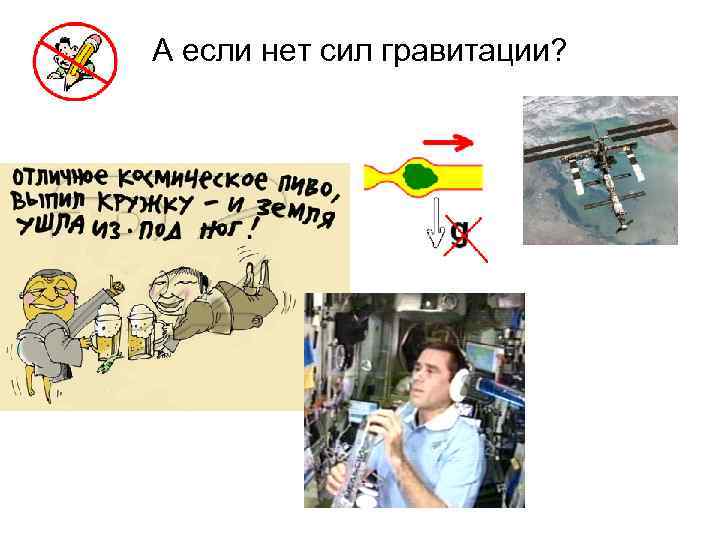 А если нет сил гравитации? 