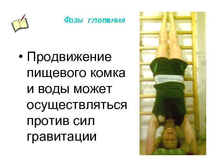 Фазы глотания • Продвижение пищевого комка и воды может осуществляться против сил гравитации 