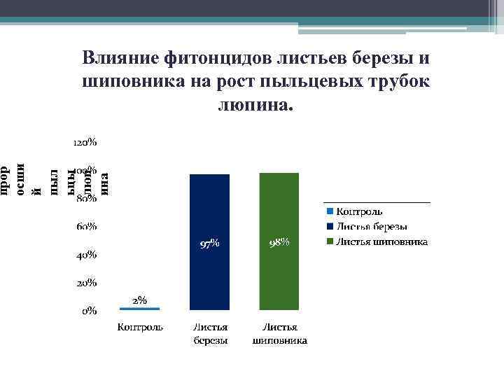 прор осши й пыл ьцы люп ина Влияние фитонцидов листьев березы и шиповника на