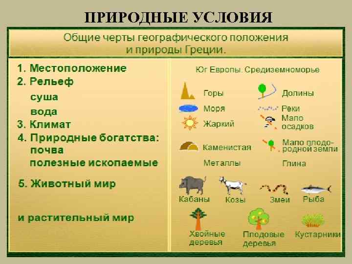 ПРИРОДНЫЕ УСЛОВИЯ 6 