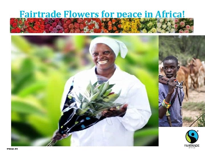 Fairtrade Flowers for peace in Africa! © Fairtrade 2010 