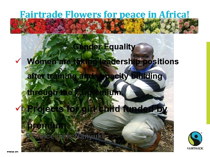 Fairtrade Flowers for peace in Africa! Gender Equality ü Women are taking leadership positions
