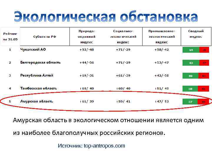 Амурская область в экологическом отношении является одним из наиболее благополучных российских регионов. Источник: top-antropos.