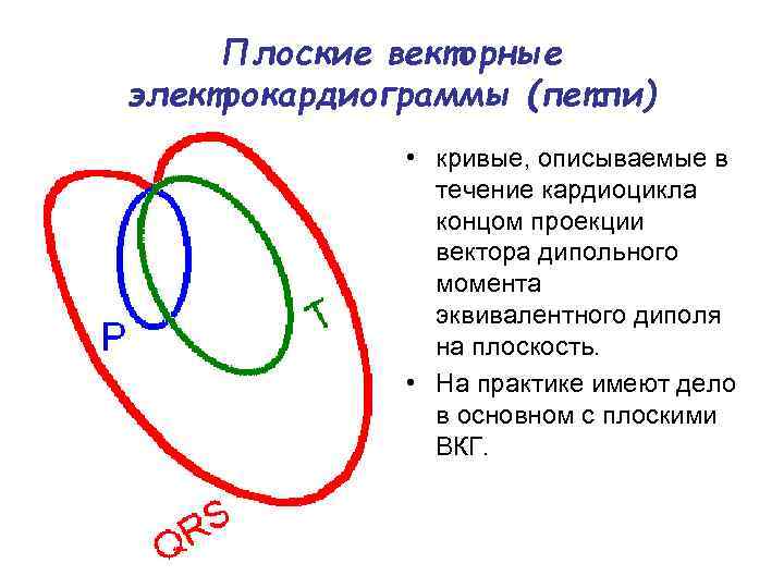 Плоские векторные электрокардиограммы (петли) • кривые, описываемые в течение кардиоцикла концом проекции вектора дипольного