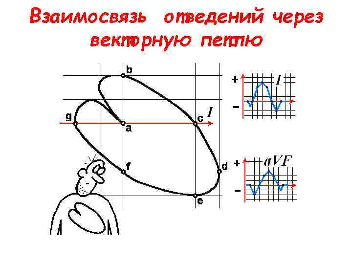 Взаимосвязь отведений через векторную петлю 