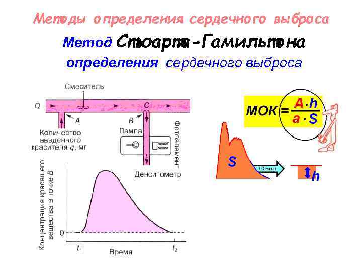 Методы определения сердечного выброса Метод Стюарта-Гамильтона определения сердечного выброса 
