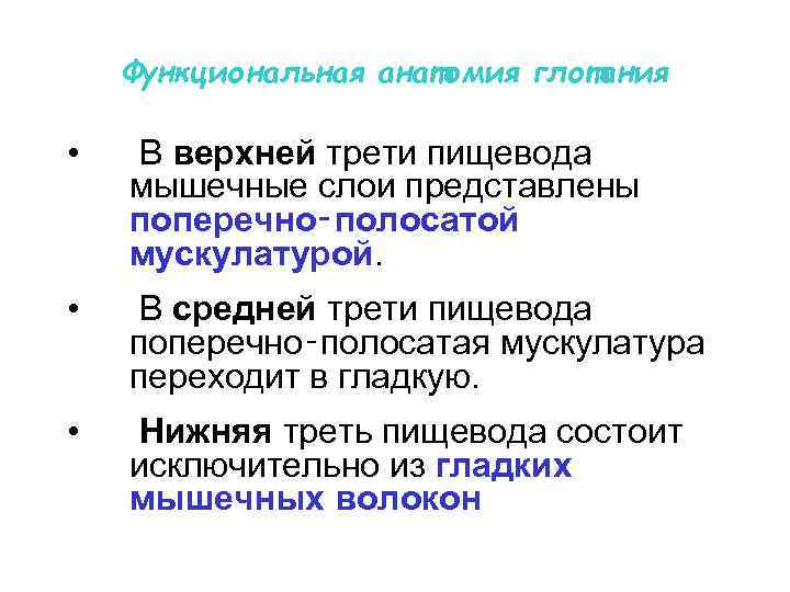 Функциональная анатомия глотания • В верхней трети пищевода мышечные слои представлены поперечно‑полосатой мускулатурой. •