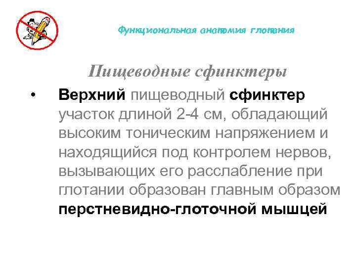 Функциональная анатомия глотания Пищеводные сфинктеры • Верхний пищеводный сфинктер участок длиной 2 -4 см,