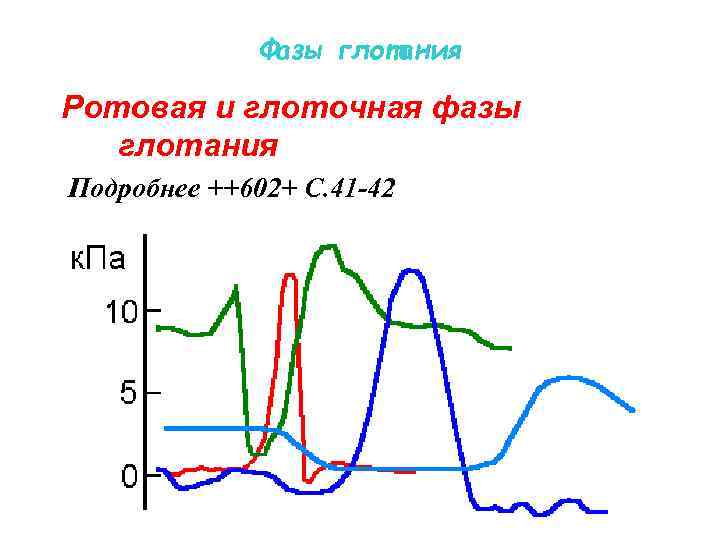 Фазы глотания Ротовая и глоточная фазы глотания Подробнее ++602+ С. 41 -42 