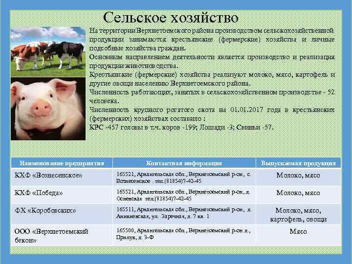 Сельское хозяйство На территории Верхнетоемского района производством сельскохозяйственной продукции занимаются крестьянские (фермерские) хозяйства и
