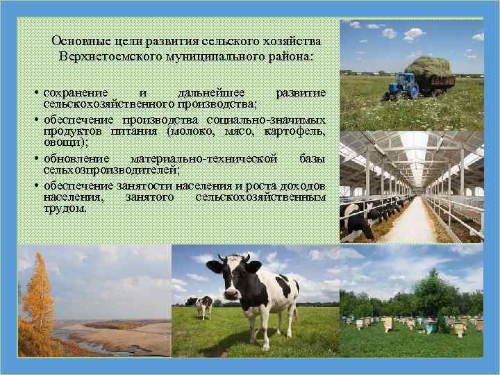 Основные цели развития сельского хозяйства Верхнетоемского муниципального района: • сохранение и дальнейшее развитие сельскохозяйственного