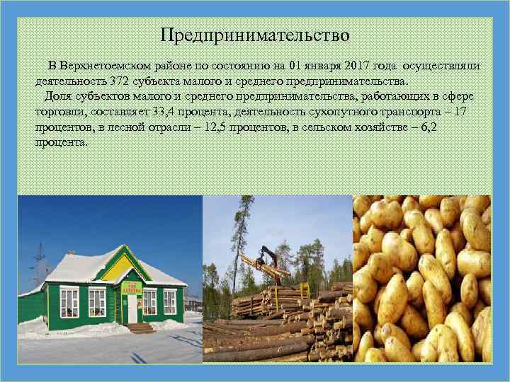 Предпринимательство В Верхнетоемском районе по состоянию на 01 января 2017 года осуществляли деятельность 372